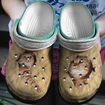 Cat With Soft Shape Bed Shoes - Playful Cat Clog Gift - Monsterry DE