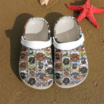 Dachshund Lover Classic Clogs Shoes - Monsterry