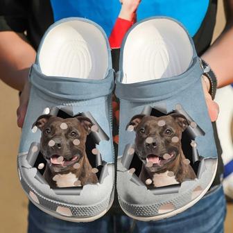 Pitbull Hello Clog Shoes - Monsterry