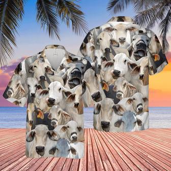 Herd Of Brahman Cattles All Over Printed Hawaiian Shirt, Farm Hawaiian Shirt, Farmer Hawaii | Newhawaiianshirts AU