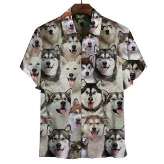 You Will Have A Bunch Of Alaskan Malamutes All Over Printed Hawaiian Shirt, Farm Hawaiian Shirt, Farmer Hawaii | Newhawaiianshirts AU