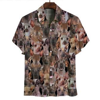 You Will Have A Bunch Of Peruvian Inca Orchids All Over Printed Hawaiian Shirt, Farm Hawaiian Shirt, Farmer Hawaii | Newhawaiianshirts AU