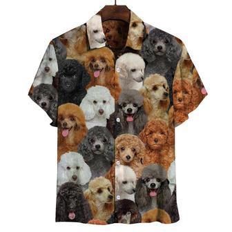 You Will Have A Bunch Of Poodles All Over Printed Hawaiian Shirt, Farm Hawaiian Shirt, Farmer Hawaii | Newhawaiianshirts AU