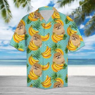 Banana Pomeranian On Mint Theme Hawaiian Shirt Summer Gifts | Newhawaiianshirts AU