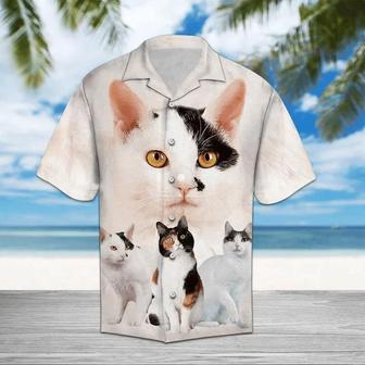 Beautiful Cat Mix While Theme Hawaiian Shirt Summer Gifts | Newhawaiianshirts AU