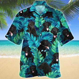 Black Curly Coated Retriever Dog Lovers Summer Beach Palm Tree Pattern Hawaiian Shirt Summer Gifts | Newhawaiianshirts CA