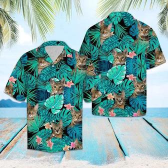 Domestic Cat Tropical Jungle Hawaiian Shirt Summer Gifts | Newhawaiianshirts