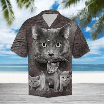 Gray Russian Cat Staring At You Hawaiian Shirt Summer Gifts | Newhawaiianshirts