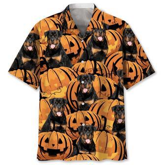 Rottweiler Pumpkin Halloween Hawaiian Shirt Summer Gifts | Newhawaiianshirts UK