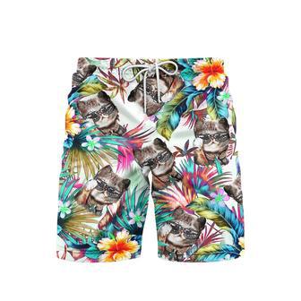 Cat Tropical Colorful Beach Shorts For Men | Newhawaiianshirts CA