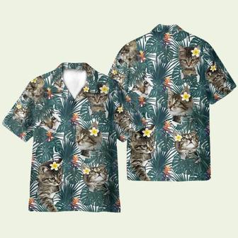 Cute Little Cat Tropical Leaves Pattern Hawaiian Shirt | Newhawaiianshirts UK