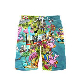 Flamingo Florida Beach Summer Party Colorful Beach Shorts For Men | Newhawaiianshirts DE