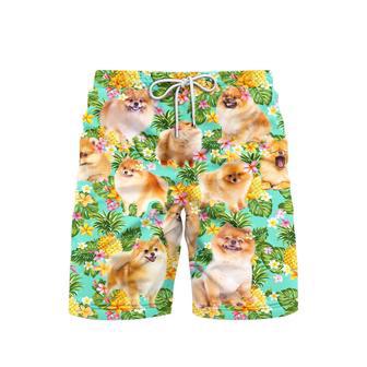 Funny Pomeranian Dog Pineapple Tropical Beach Shorts For Men | Newhawaiianshirts UK