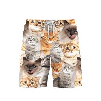 Picture Of Cats Aloha Beach Shorts For Men | Newhawaiianshirts