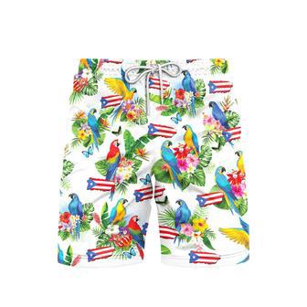 Puerto Rico Parrots Tropical Beach Shorts For Men | Newhawaiianshirts CA