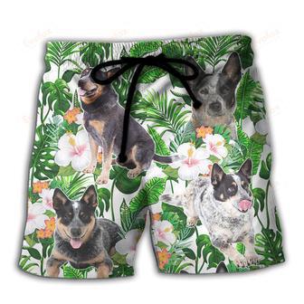 Australian Cattle Dog Tropical Floral Beach Short | Newhawaiianshirts DE