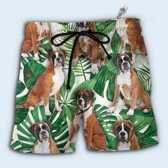 Boxer Dog Tropical Leaf Beach Short | Newhawaiianshirts AU