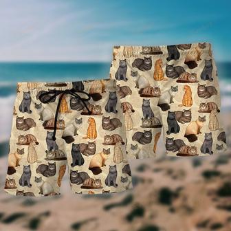 Cat Make Me Happy People Not So Much Beach Short | Newhawaiianshirts AU