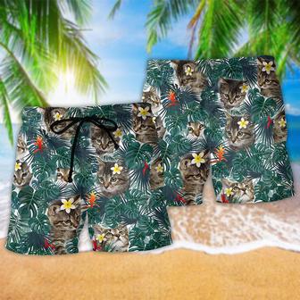 Cat Powered By Cat Sand Hawaii Tropical Beach Short | Newhawaiianshirts DE