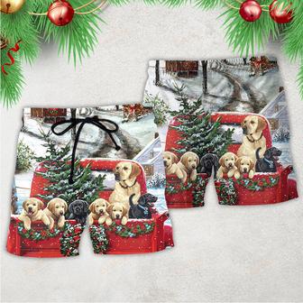 Christmas Dog Come Home In Truck Beach Short | Newhawaiianshirts