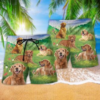 Golden Retriever Love Play Dogs Beach Short | Newhawaiianshirts AU