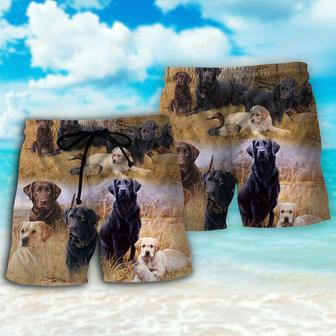 Labrador Retriever Hunting Dog Lover Beach Short | Newhawaiianshirts AU