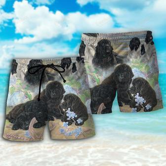 Newfoundland Black Dog Floral Lover Beach Short | Newhawaiianshirts AU