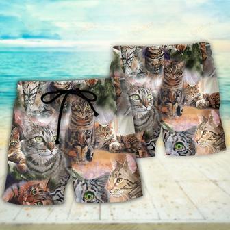 Tabby Cat Art Daily Portrait Beach Short | Newhawaiianshirts DE