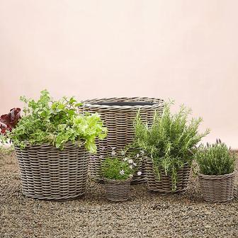 Elegant Wicker Taper Planter for Flower Gardens | Rusticozy