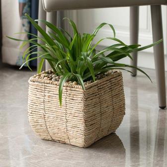 Eco-Friendly Plant Pot for Stylish Indoor and Outdoor Gardening | Rusticozy