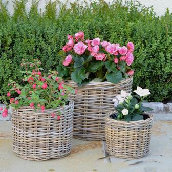 Elegant Handmade Wicker Rattan Flower Pot for Home and Garden | Rusticozy DE