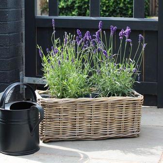 Hand Woven Rattan Small Planter Pot for Window Decor | Rusticozy UK