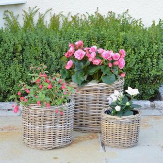 Handmade Vintage Wicker Flower Pot for Home and Garden Decor | Rusticozy