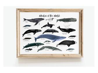 Nautical Whale Nursery Art Canvas - Thoughtful Ocean Mammal Wall DéCor Nursery Gift | Familywalldecor UK