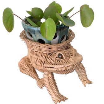 Custom Frog Animal Rattan Planters for Home Decoration | Rusticozy