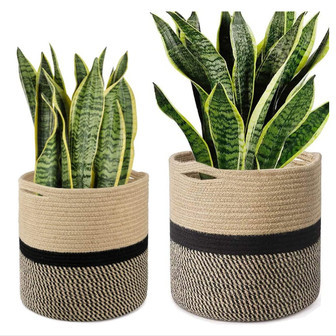 Custom Woven Plant Basket for Home Decor | Rusticozy CA