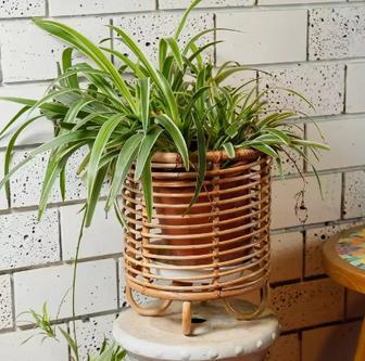 Decorative Rattan Tree Planter Stand for Home and Garden | Rusticozy