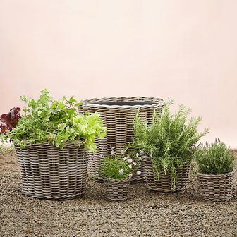 Decorative Wicker Taper Planter for Garden | Rusticozy UK