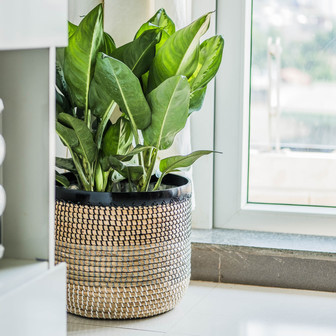 Eco-Friendly Boho Seagrass Plant Pot for Indoors | Rusticozy DE