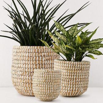 Mini Seagrass Woven Planters and Storage Baskets | Rusticozy