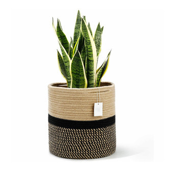 Natural Straw Seagrass Belly Basket for Storage and Plants | Rusticozy CA