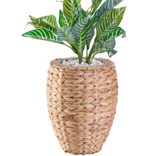 Sturdy Indoor Planter with Tropical Style | Rusticozy