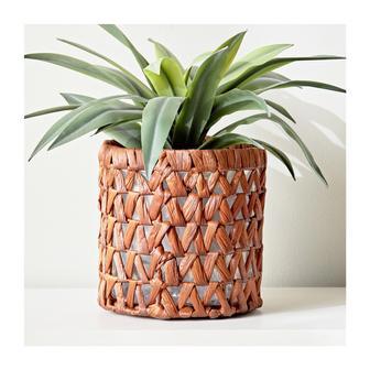 Stylish Indoor Water Hyacinth Plant Pots | Rusticozy AU