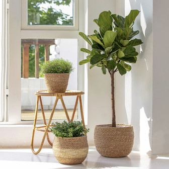 Eco-friendly Jute Plant Pots for Home and Garden | Rusticozy