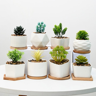 Elegant White Ceramic Flower Pots for Succulent Plants | Rusticozy UK