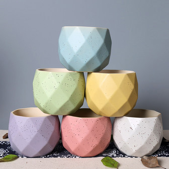 Elegant White, Pink, Green and Purple Ceramic Plant Pots for Indoor | Rusticozy DE