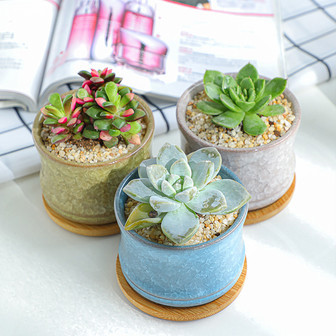 Farmhouse Plant Pot | Decorative Colorful Ceramic Flower Pots for Nordic Homes | Rusticozy