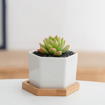 Minimalist Small White Ceramic Plant Pots For Indoor Decor | Rusticozy CA