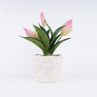 Modern White Ceramic Plant Pot for Indoor Home | Rusticozy