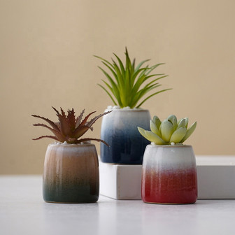 Nordic Style Indoor Blue and Red Ceramic Plant Pot for Succulents | Rusticozy UK